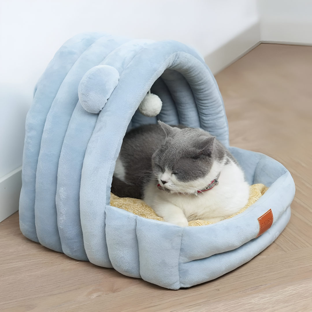Creating a Comfortable Home for Your Pet