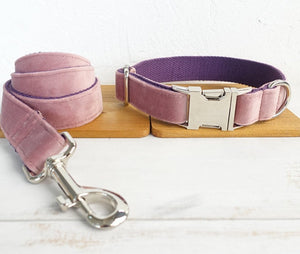 Why Your Dog Needs Our Premium Dog Leash and Collar