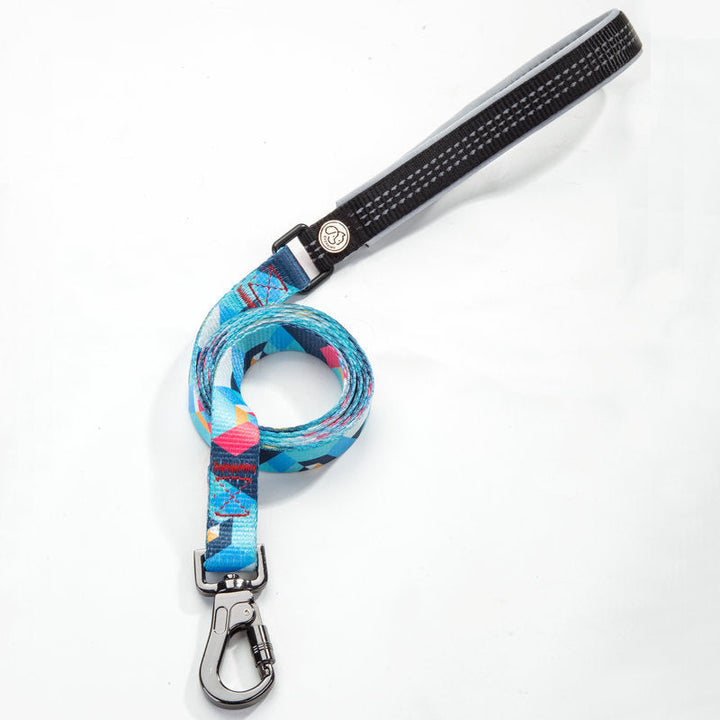 The Perfect Dog Leash: Your Pet's New Best Friend