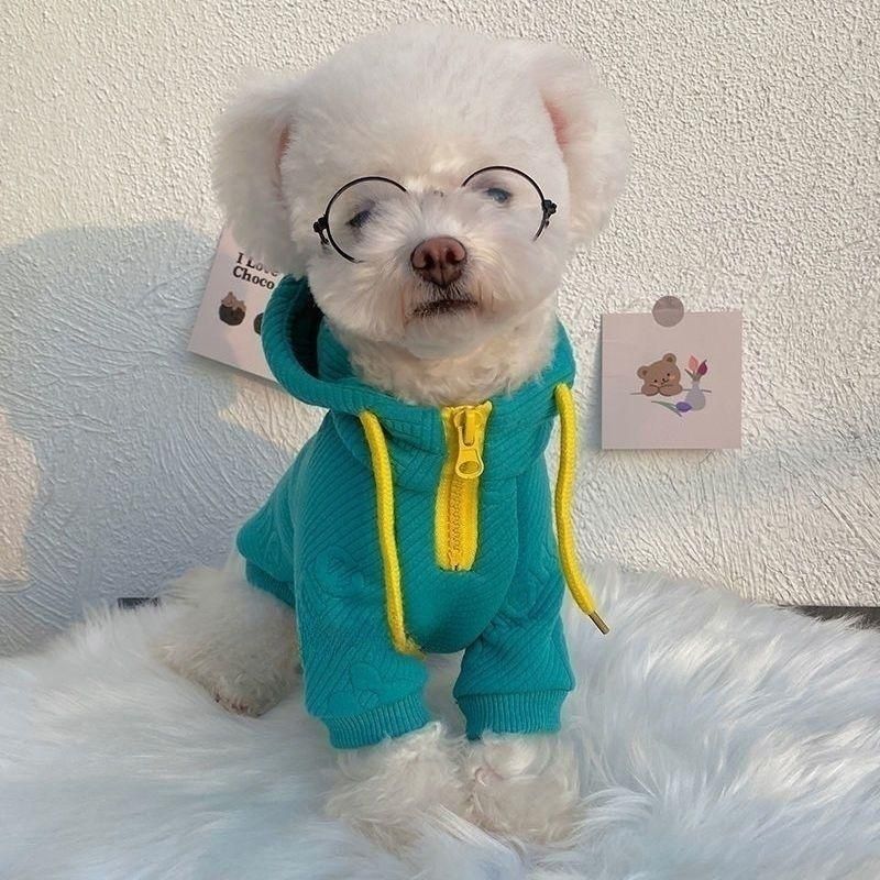 Elevate Your Pet's Style with the Handsome Internet Celebrity Thin Pet Sweater