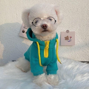Elevate Your Pet's Style with the Handsome Internet Celebrity Thin Pet Sweater