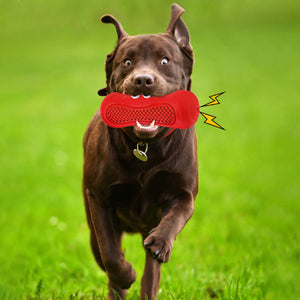 Why Your Dog Deserves the Vocal Rugby Pet Chewing Dog Toys