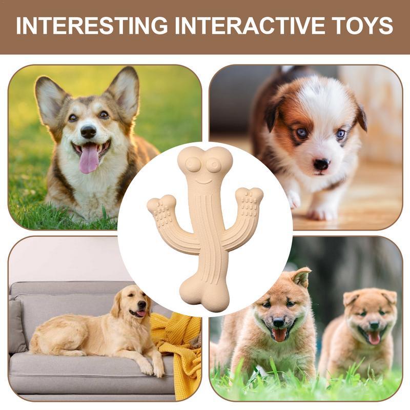Why Your Dog Needs the Pet Cactus Puppy Chew Toy