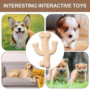 Why Your Dog Needs the Pet Cactus Puppy Chew Toy