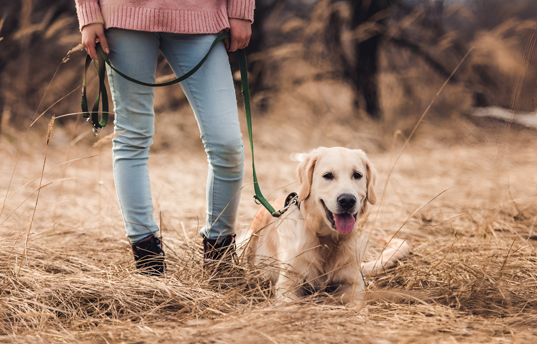 Making Walks Safer and More Enjoyable