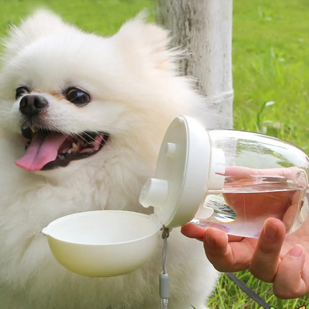 Stay Hydrated on the Go with Our Portable Pet Water Bottle