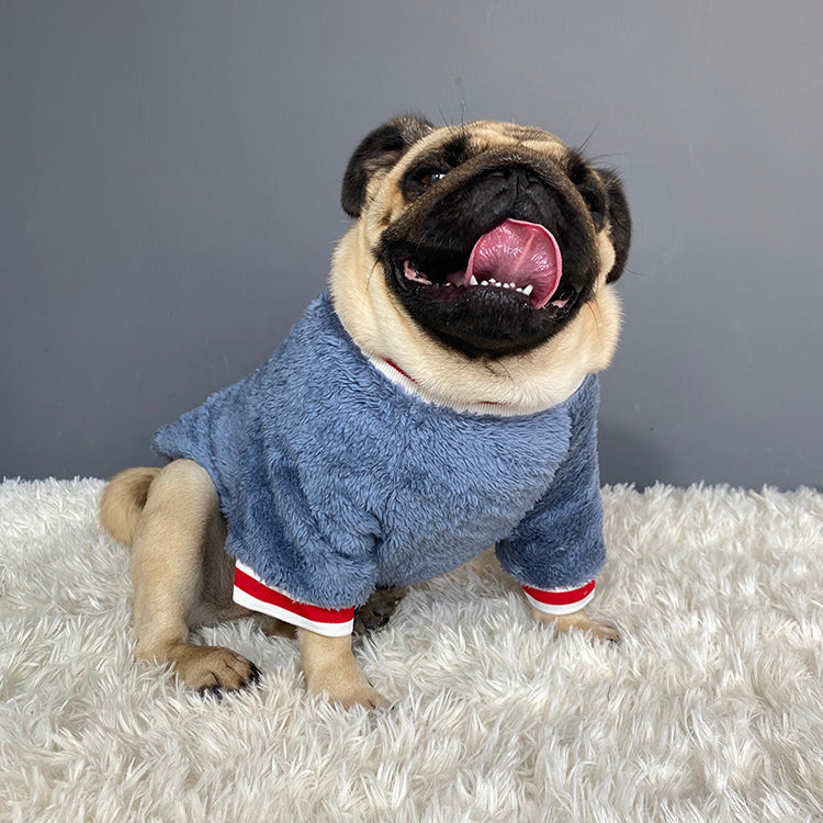 Comfortable Pet sweater