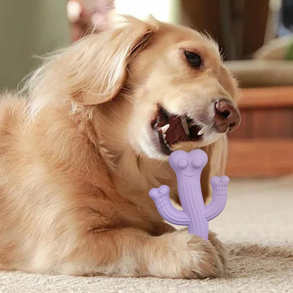 Pet Cactus Puppy Chew Toy