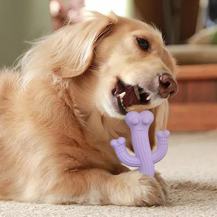 Pet Cactus Puppy Chew Toy