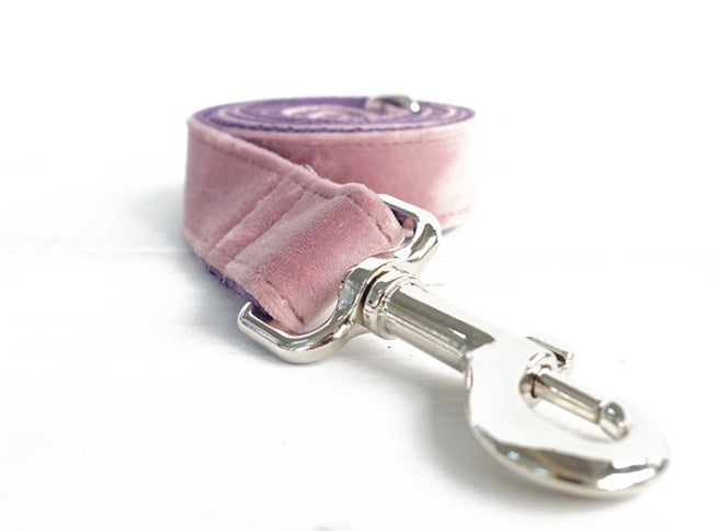 Dog Leash Pet Collar