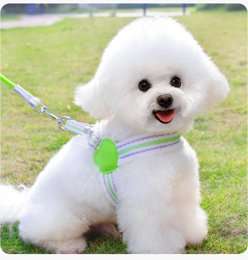 Summer Breathable Corgi Medium-sized Dog Pet Leash