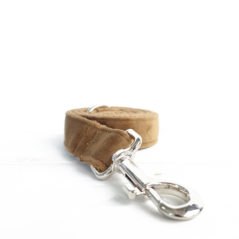 Pet dog ring leash