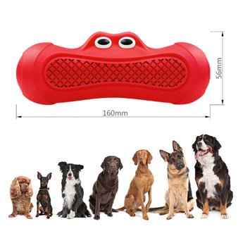 Vocal Rugby Pet Chewing Dog Toys