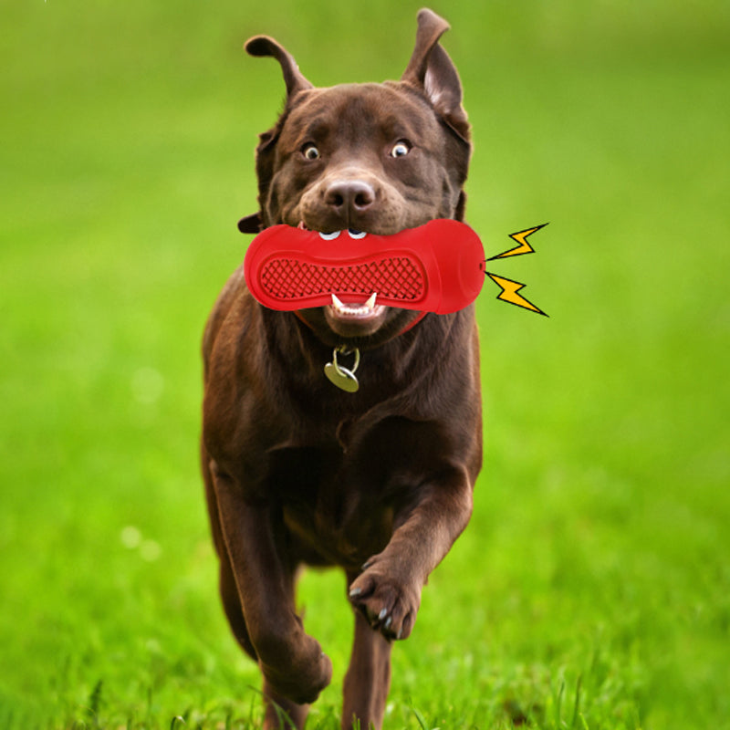 Vocal Rugby Pet Chewing Dog Toys