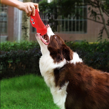 Vocal Rugby Pet Chewing Dog Toys