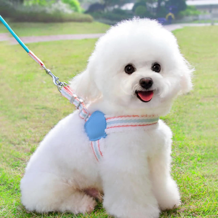 Summer Breathable Corgi Medium-sized Dog Pet Leash