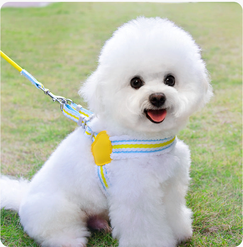 Summer Breathable Corgi Medium-sized Dog Pet Leash