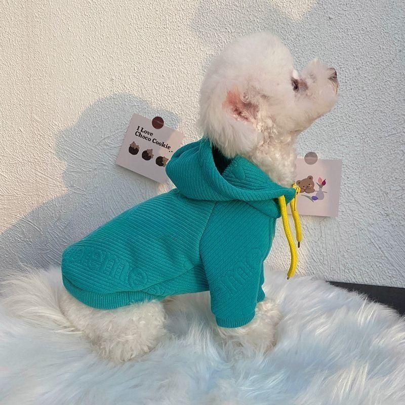 Handsome Internet Celebrity Thin Pet Sweater