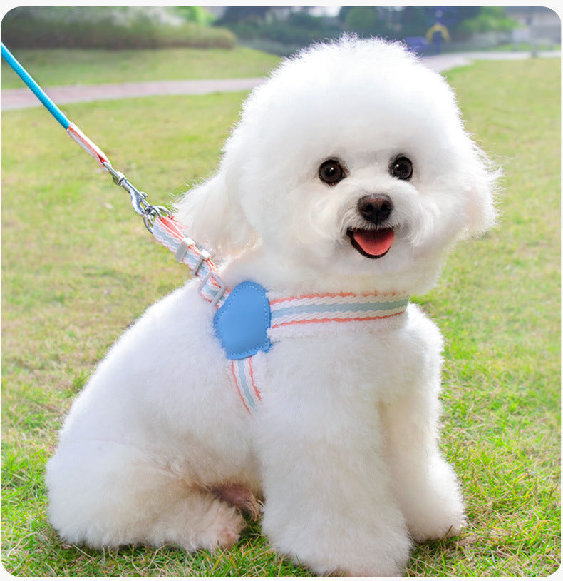 Summer Breathable Corgi Medium-sized Dog Pet Leash