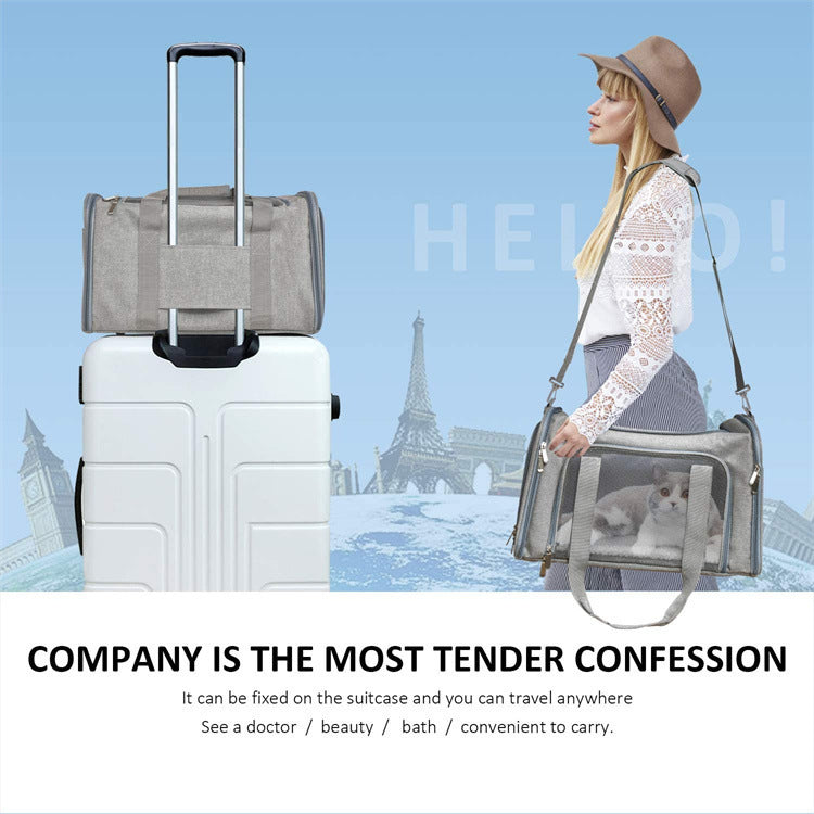Pet Bag Portable Foldable Hand-held Carrier