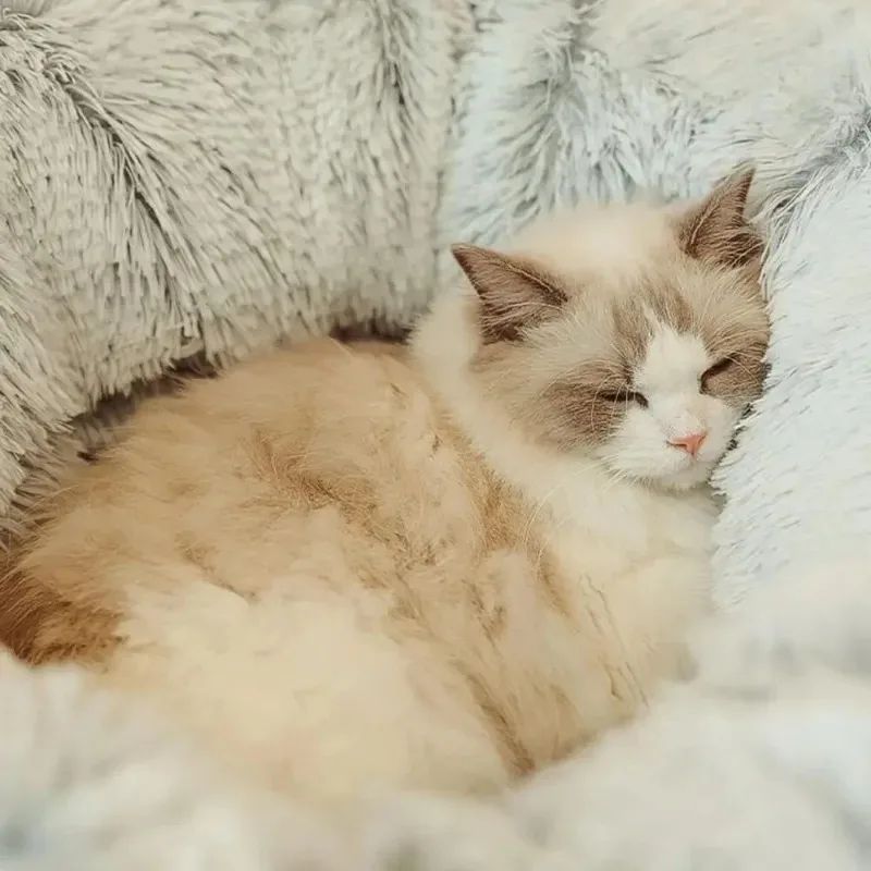 Pet Plush Cushions Warm Pet Bed