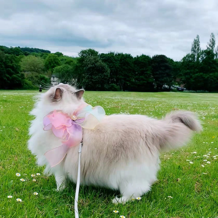 Butterfly Flying Pet Retractable And Break Free Leash