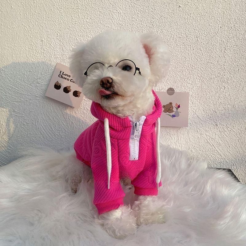Handsome Internet Celebrity Thin Pet Sweater