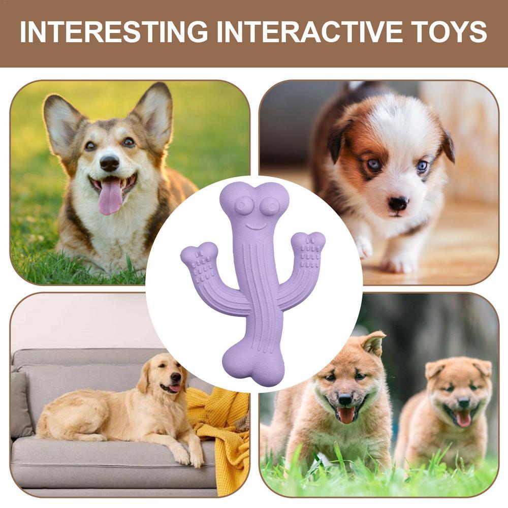 Pet Cactus Puppy Chew Toy